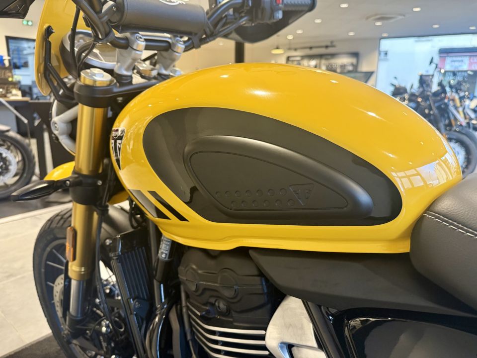 TRIUMPH Scrambler 400 X 4