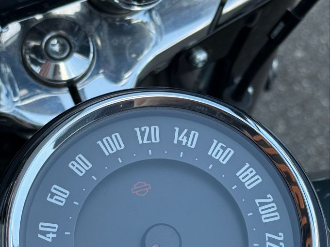 HARLEY-DAVIDSON SOFTAIL HERITAGE 1868 CLASSIC 4
