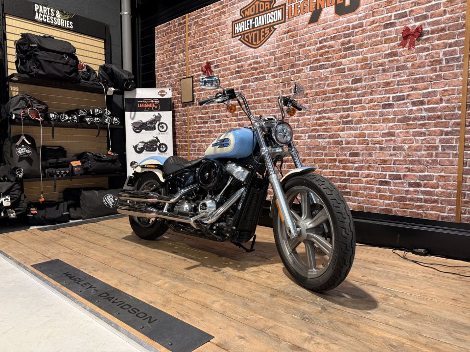 HARLEY-DAVIDSON SOFTAIL STANDARD 1745 4