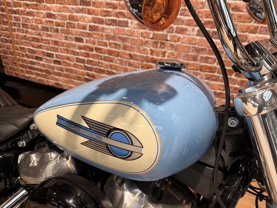 HARLEY-DAVIDSON SOFTAIL STANDARD 1745 4