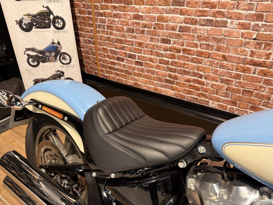 HARLEY-DAVIDSON SOFTAIL STANDARD 1745 4