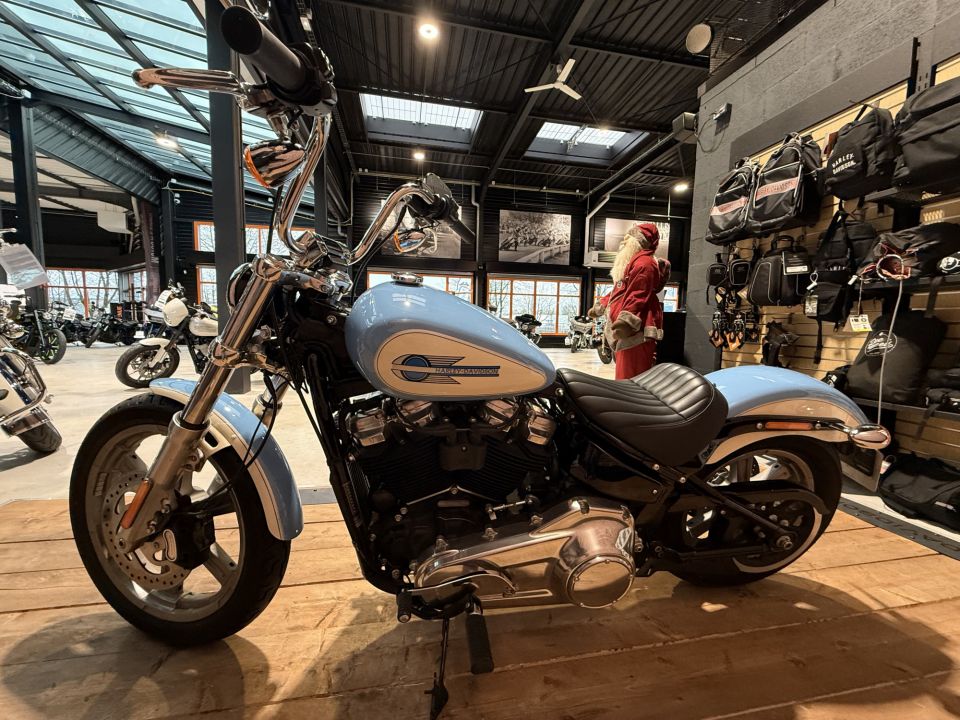 HARLEY-DAVIDSON SOFTAIL STANDARD 1745 4