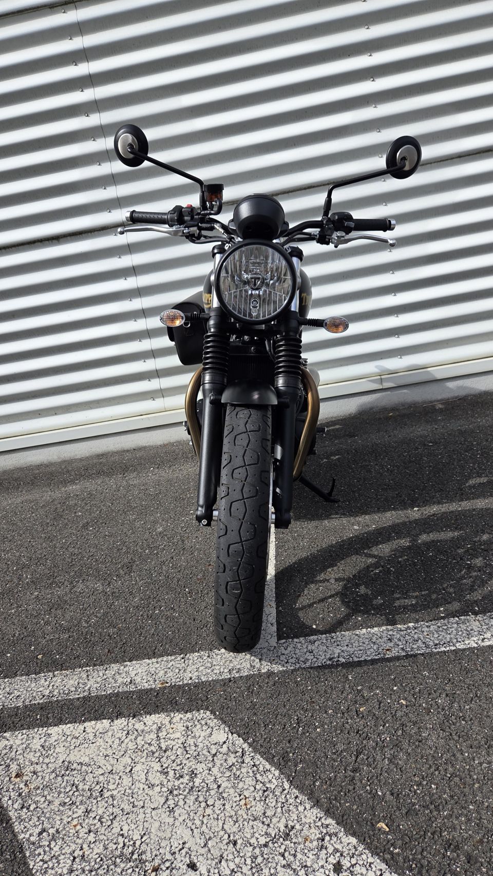 TRIUMPH STREET TWIN 900 GOLD LINE 4