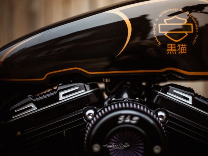 HARLEY-DAVIDSON SPORTSTER FORTY-EIGHT 1200 SPECIAL 4