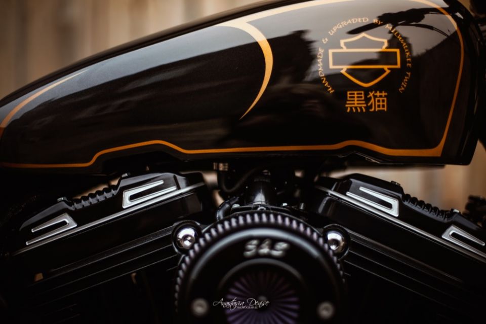 HARLEY-DAVIDSON SPORTSTER FORTY-EIGHT 1200 SPECIAL 4