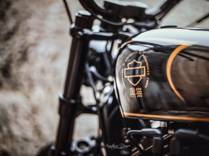 HARLEY-DAVIDSON SPORTSTER FORTY-EIGHT 1200 SPECIAL 4