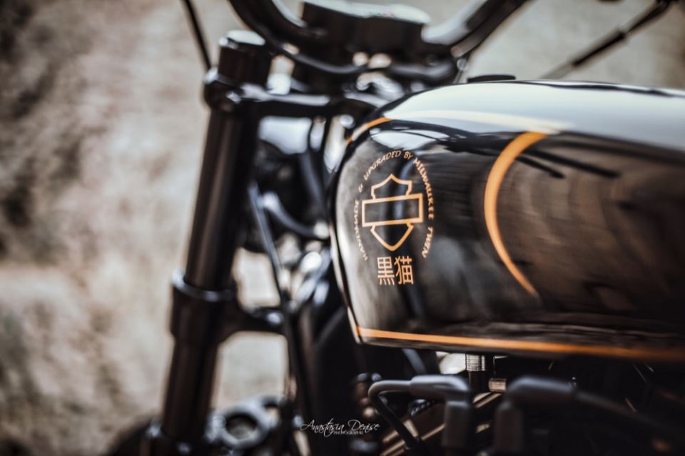 HARLEY-DAVIDSON SPORTSTER FORTY-EIGHT 1200 SPECIAL 4