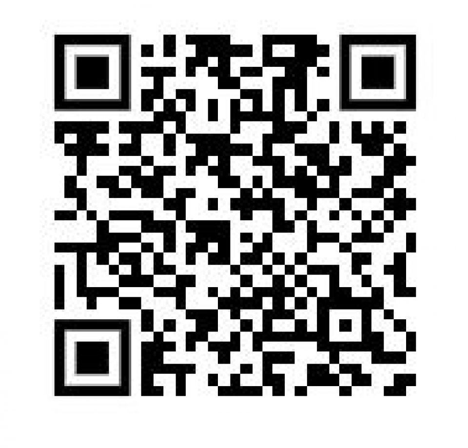 HARLEY-DAVIDSON SPORTSTER FORTY-EIGHT 1200 SPECIAL 4