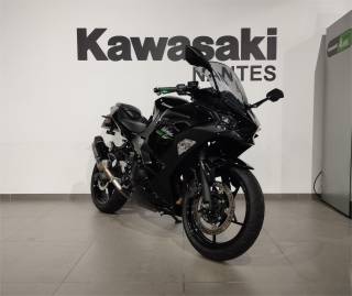 KAWASAKI Ninja 500 - 2024