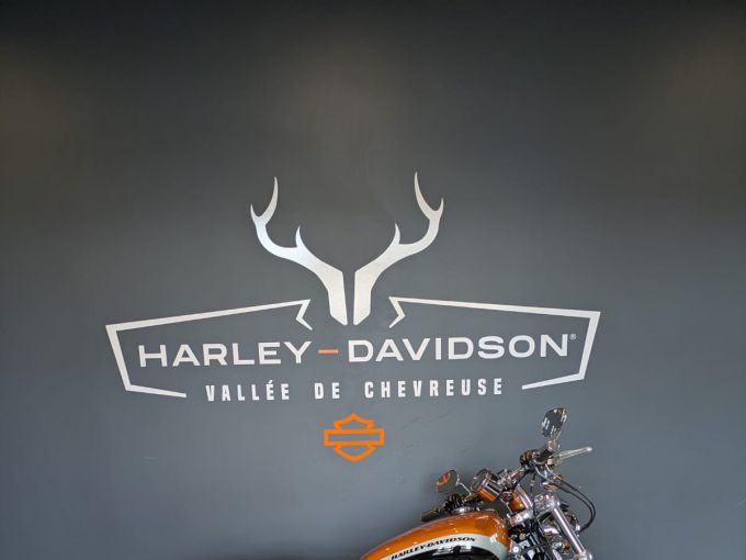 HARLEY-DAVIDSON SPORTSTER CUSTOM 1200 LIMITED 4