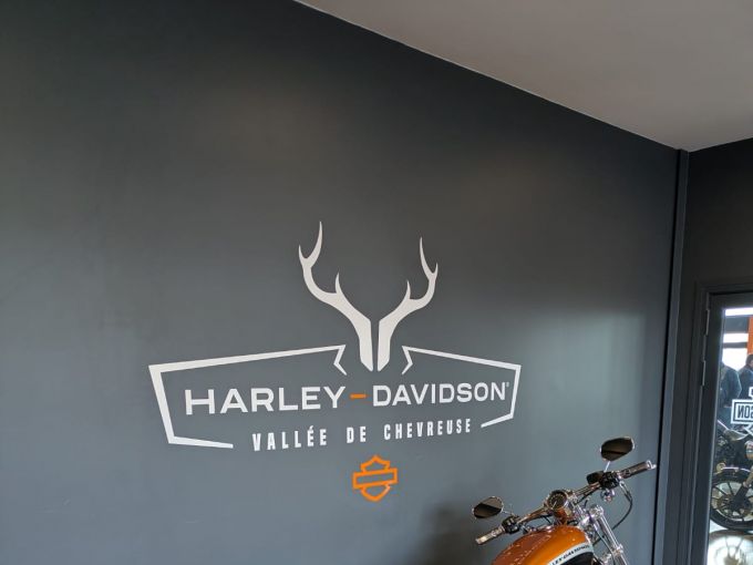 HARLEY-DAVIDSON SPORTSTER CUSTOM 1200 LIMITED 4