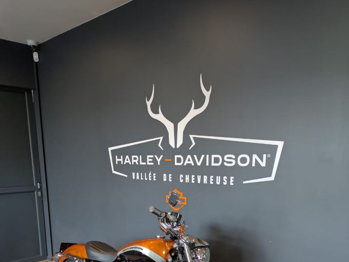 HARLEY-DAVIDSON SPORTSTER CUSTOM 1200 LIMITED 4