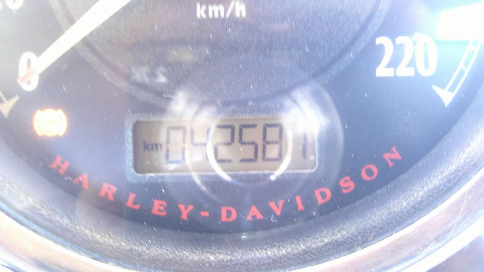 HARLEY-DAVIDSON DYNA FAT BOB 1584 4