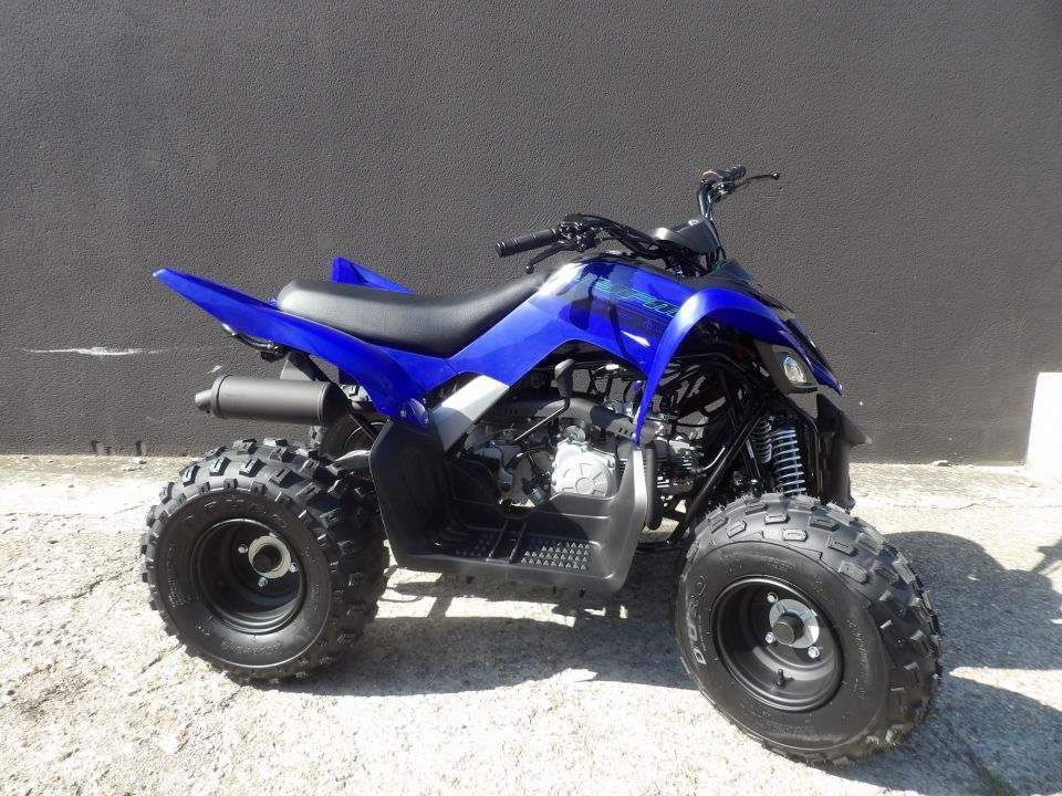 YAMAHA YFM 110 RAPTOR 4