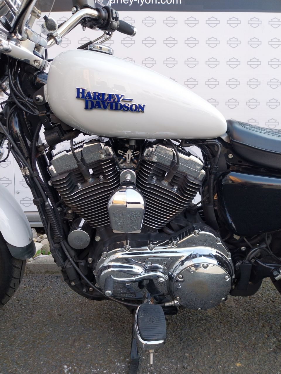 HARLEY-DAVIDSON SPORTSTER SUPERLOW 1200 T 4