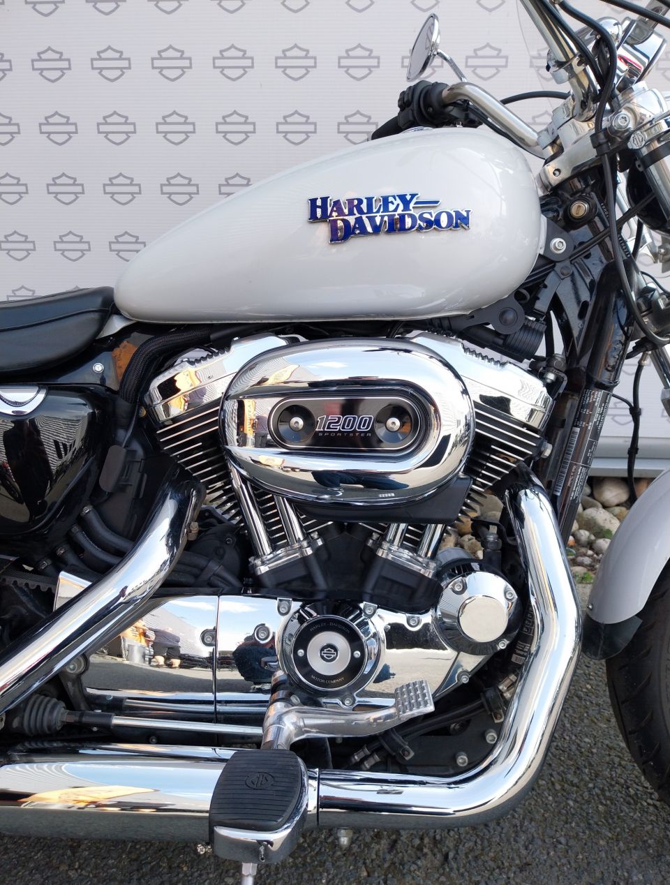 HARLEY-DAVIDSON SPORTSTER SUPERLOW 1200 T 4