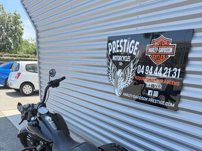 HARLEY-DAVIDSON TOURING ROAD KING 1745 SPECIAL 4