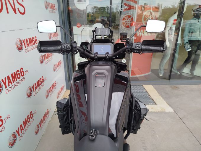 HARLEY-DAVIDSON ADVENTURE PAN AMERICA 1250 SPECIAL 4