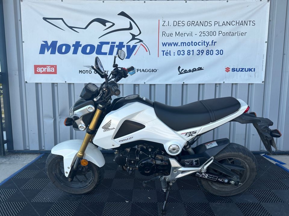 HONDA MSX 125 4