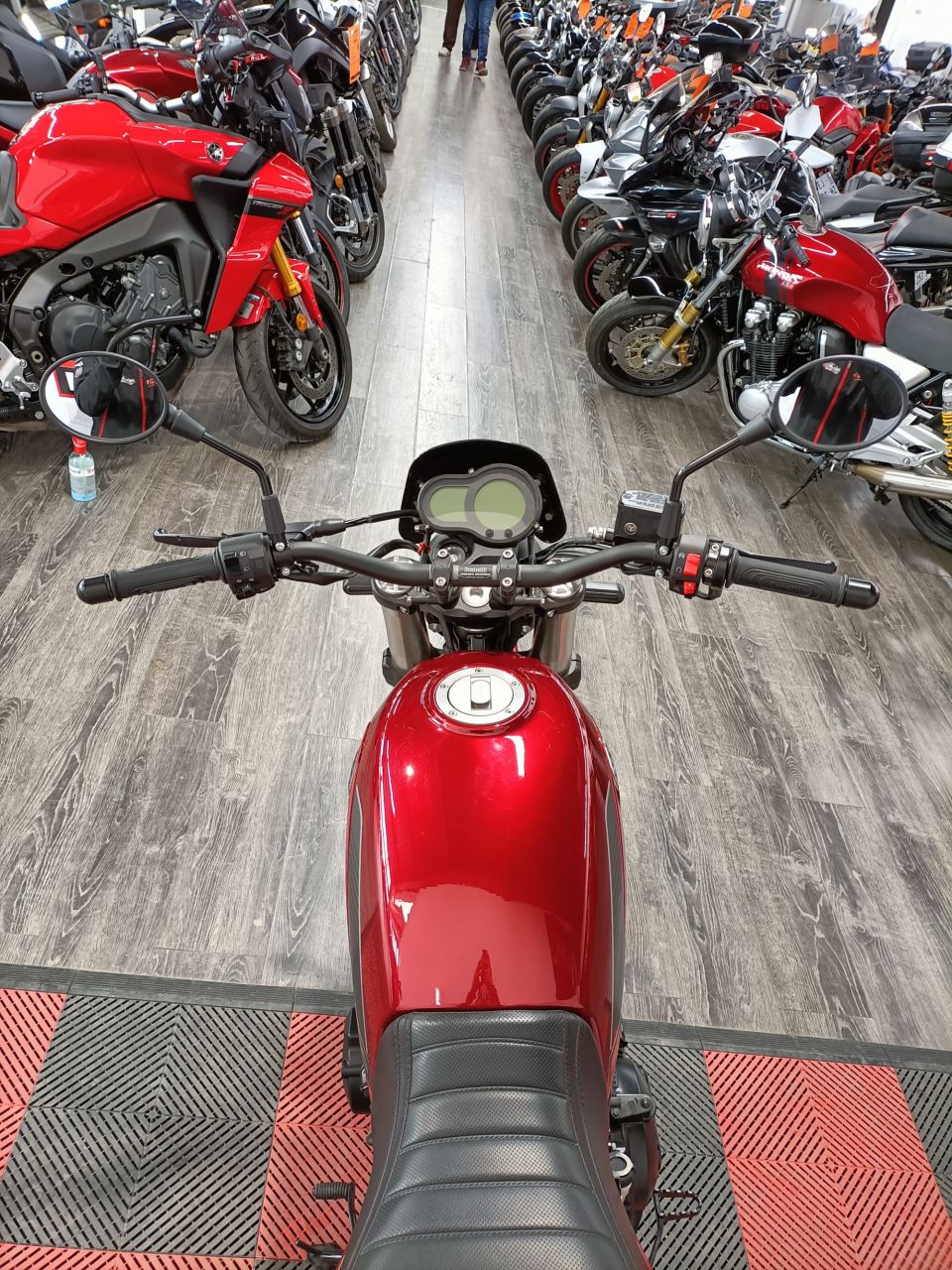 BENELLI LEONCINO 500 4
