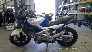 SUZUKI SV 650 - 2009