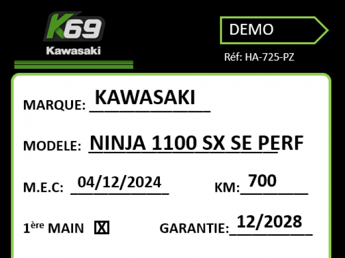 KAWASAKI NINJA 1100 SX SE 4