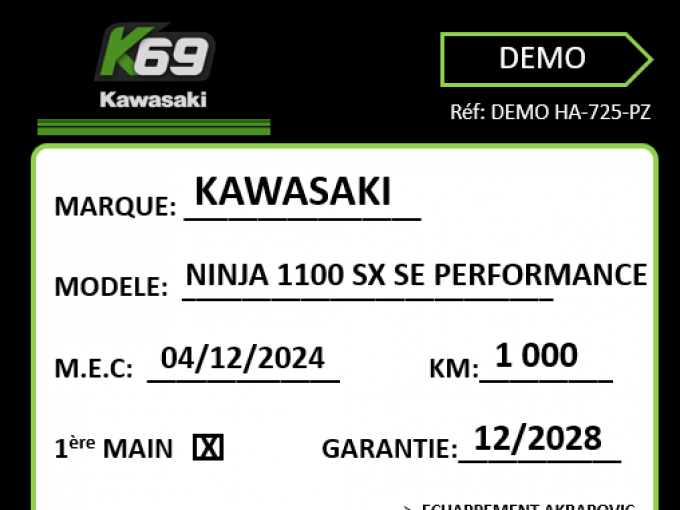 KAWASAKI NINJA 1100 SX SE 4