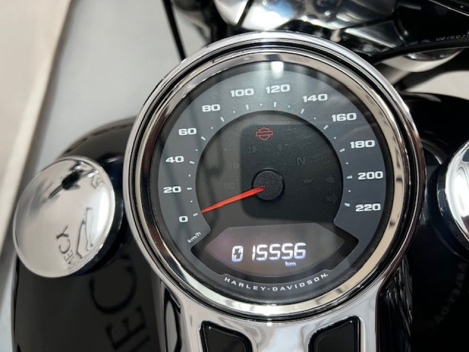 HARLEY-DAVIDSON SOFTAIL SPORT GLIDE 1745 4