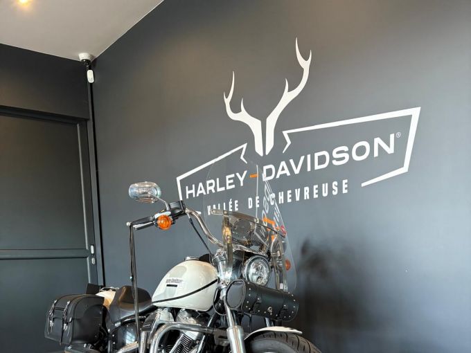 HARLEY-DAVIDSON SOFTAIL LOW RIDER 1745 4