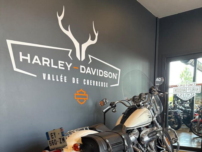 HARLEY-DAVIDSON SOFTAIL LOW RIDER 1745 4