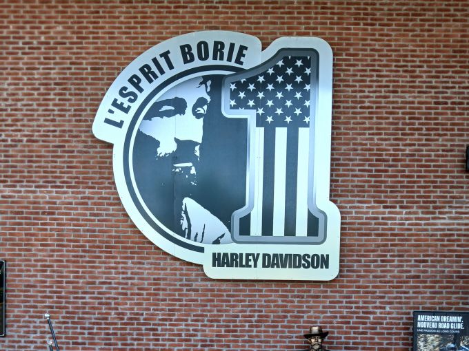 HARLEY-DAVIDSON SOFTAIL SPRINGER 1340 CUSTOM  4