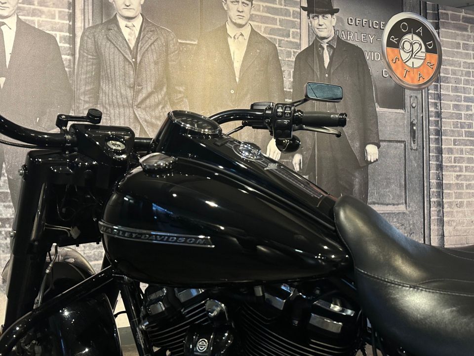 HARLEY-DAVIDSON TOURING ROAD KING 1868 SPECIAL 4