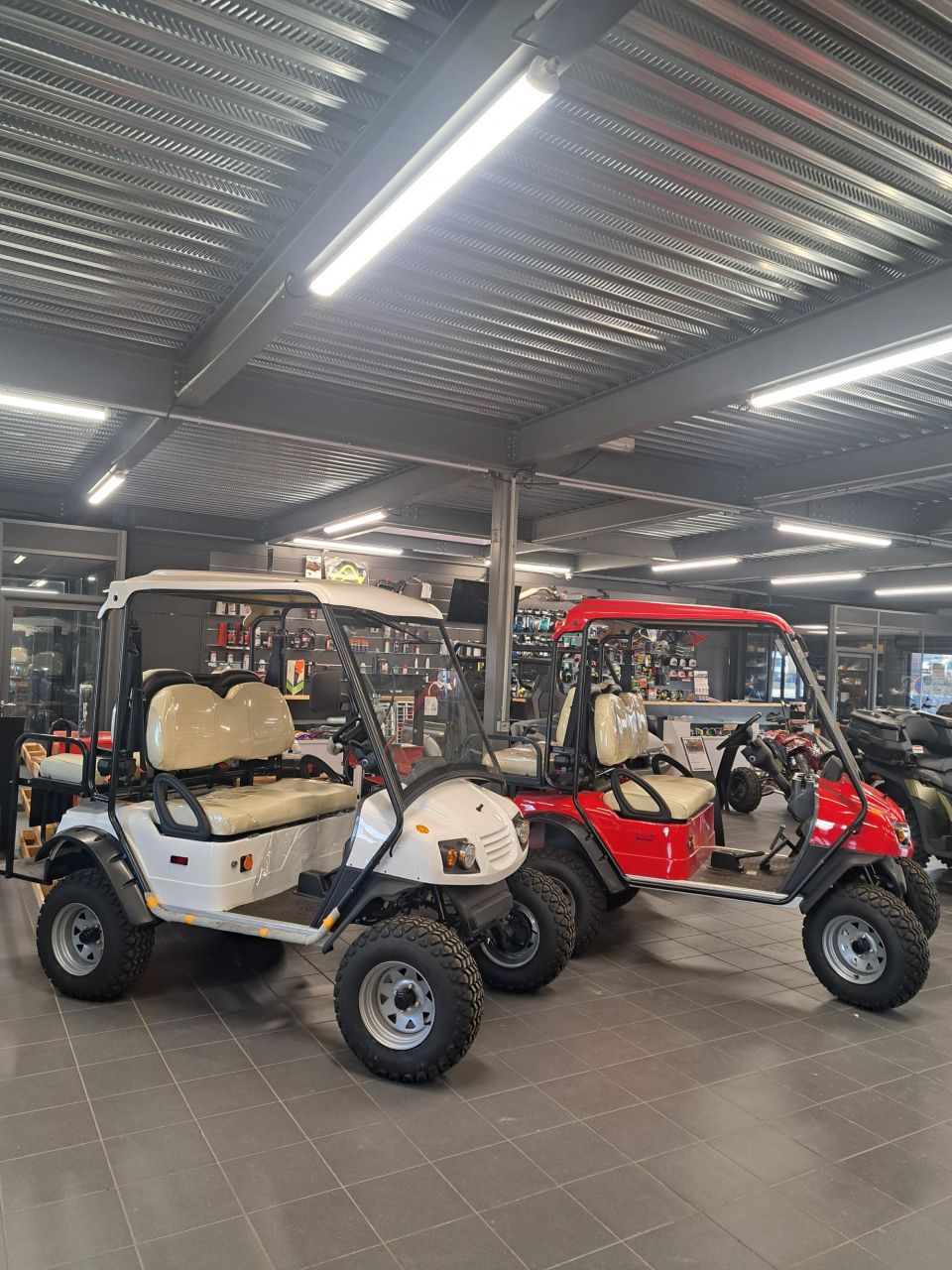 EAGLE Golf CAR Eagle 2-4 places tout-chemin 4