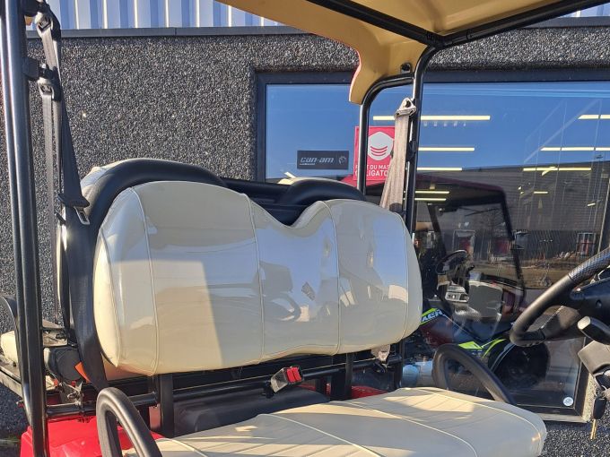 EAGLE Golf CAR Eagle 2-4 places tout-chemin 4