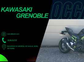 KAWASAKI Z 900 - 2021