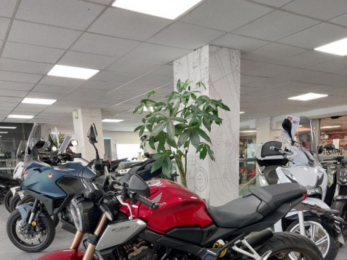HONDA CB650R Neo Sports Café 4