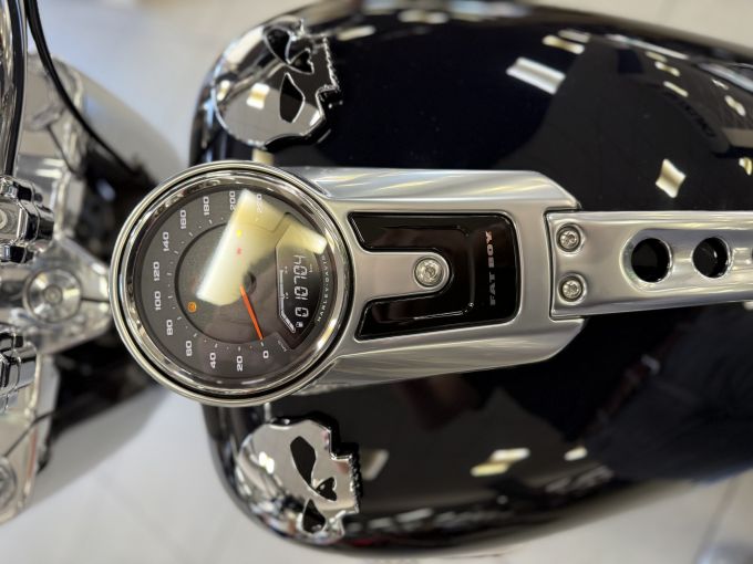 HARLEY-DAVIDSON SOFTAIL FAT BOB 1868 4