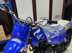 YAMAHA PW50 - 2024