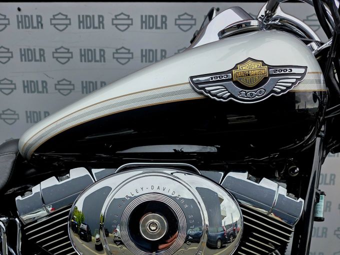 HARLEY-DAVIDSON SOFTAIL DEUCE 1450 4