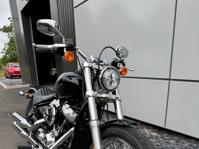 HARLEY-DAVIDSON SOFTAIL STANDARD 1745 4