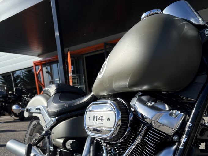 HARLEY-DAVIDSON SOFTAIL FAT BOY 1868 4