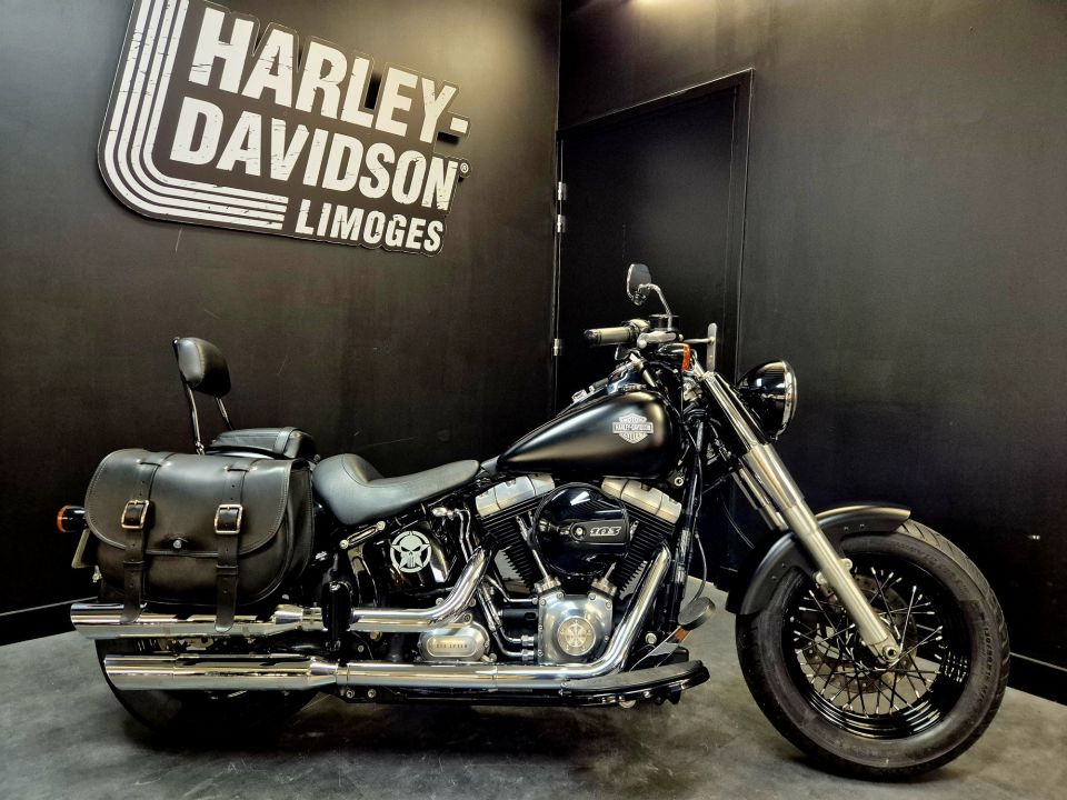 HARLEY-DAVIDSON SOFTAIL SLIM 1690 4
