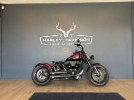 HARLEY-DAVIDSON SOFTAIL CROSS BONES 1584 - 2010