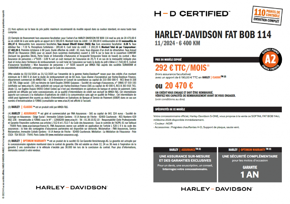 HARLEY-DAVIDSON SOFTAIL FAT BOB 1868 4