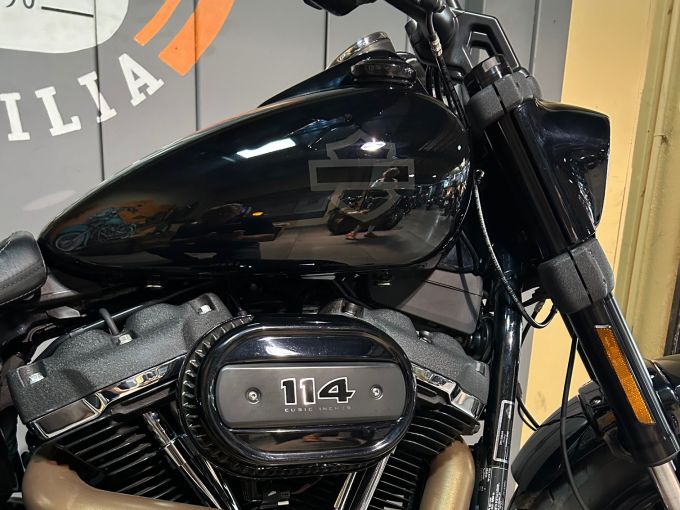 HARLEY-DAVIDSON SOFTAIL FAT BOB 1868 4