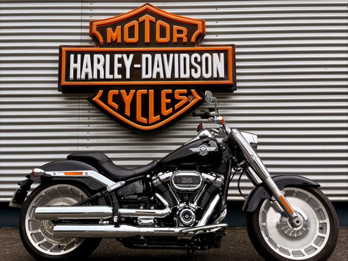 HARLEY-DAVIDSON SOFTAIL FAT BOY 1868 4