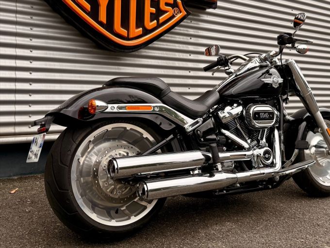 HARLEY-DAVIDSON SOFTAIL FAT BOY 1868 4