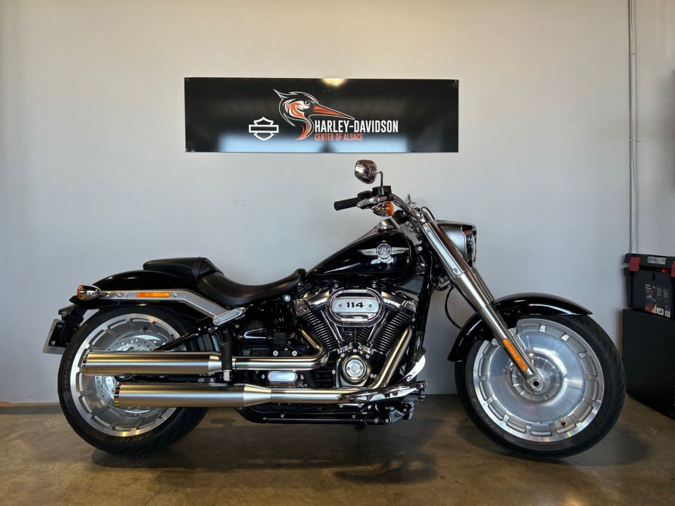 HARLEY-DAVIDSON SOFTAIL FAT BOY 1868 4