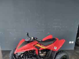 CF MOTO CFORCE 110 basic - 2025