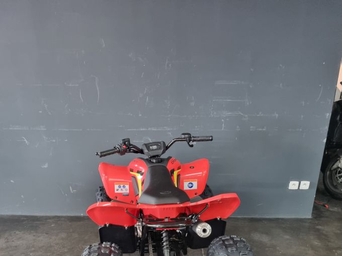 CF MOTO CFORCE 110 basic 4